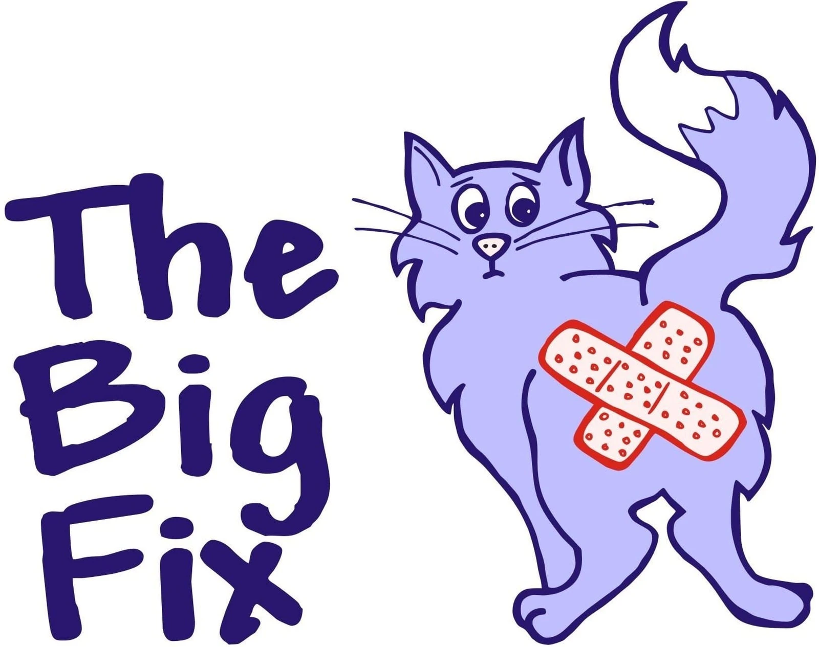 The Big Fix Cat Project