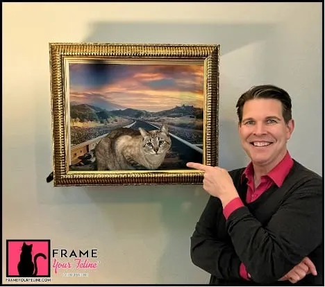 Photo from Mission Meow's post "Frame Your Feline"