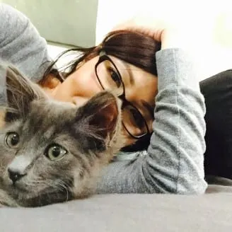 Photo from Mission Meow's post "Love and Above Cat Club"