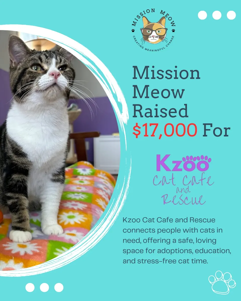 Kzoo Cat Cafe and Rescue's Mission Meow grant announcement