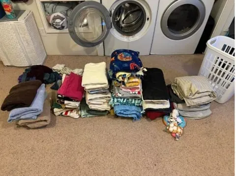 Photo from Mission Meow's post "Dreaming Big With Mission Meow"