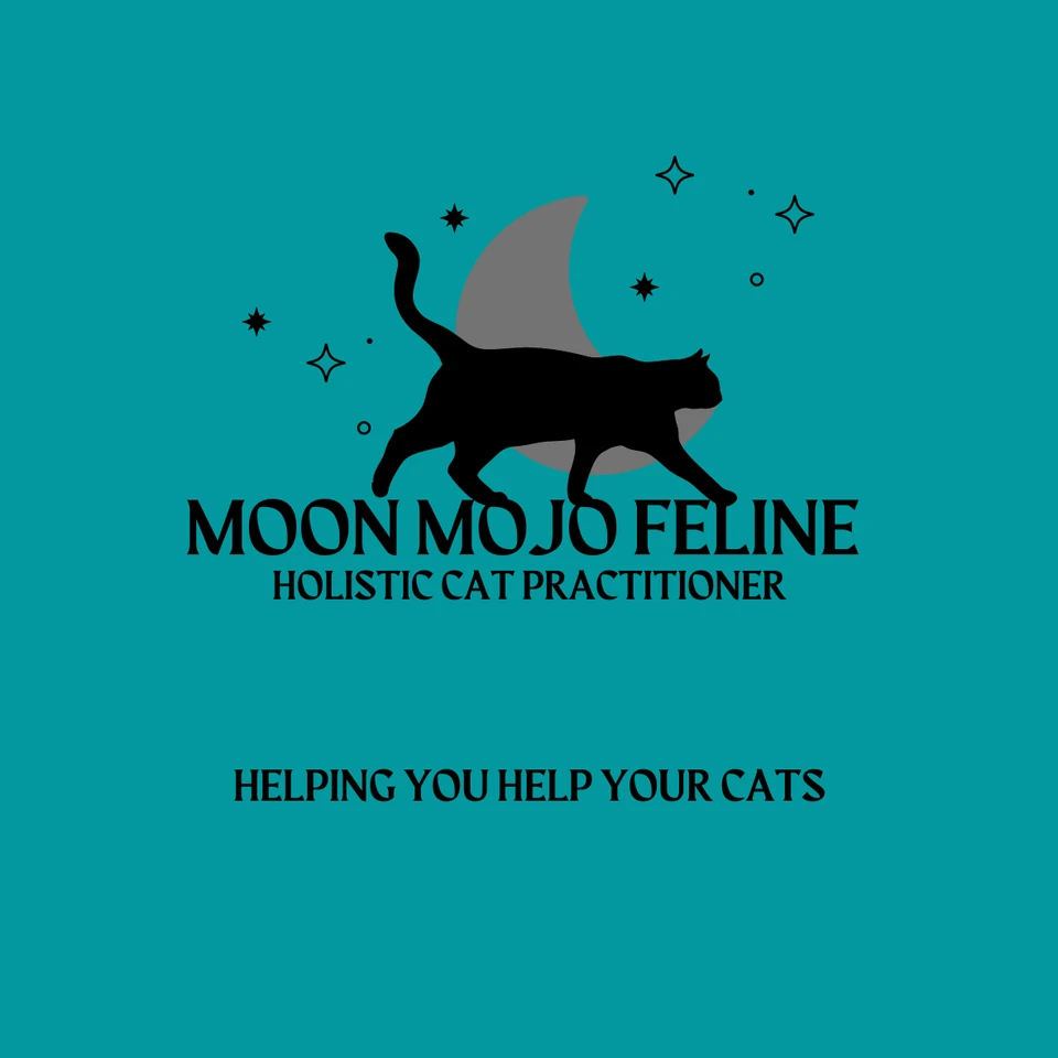 Moon Mojo Feline
