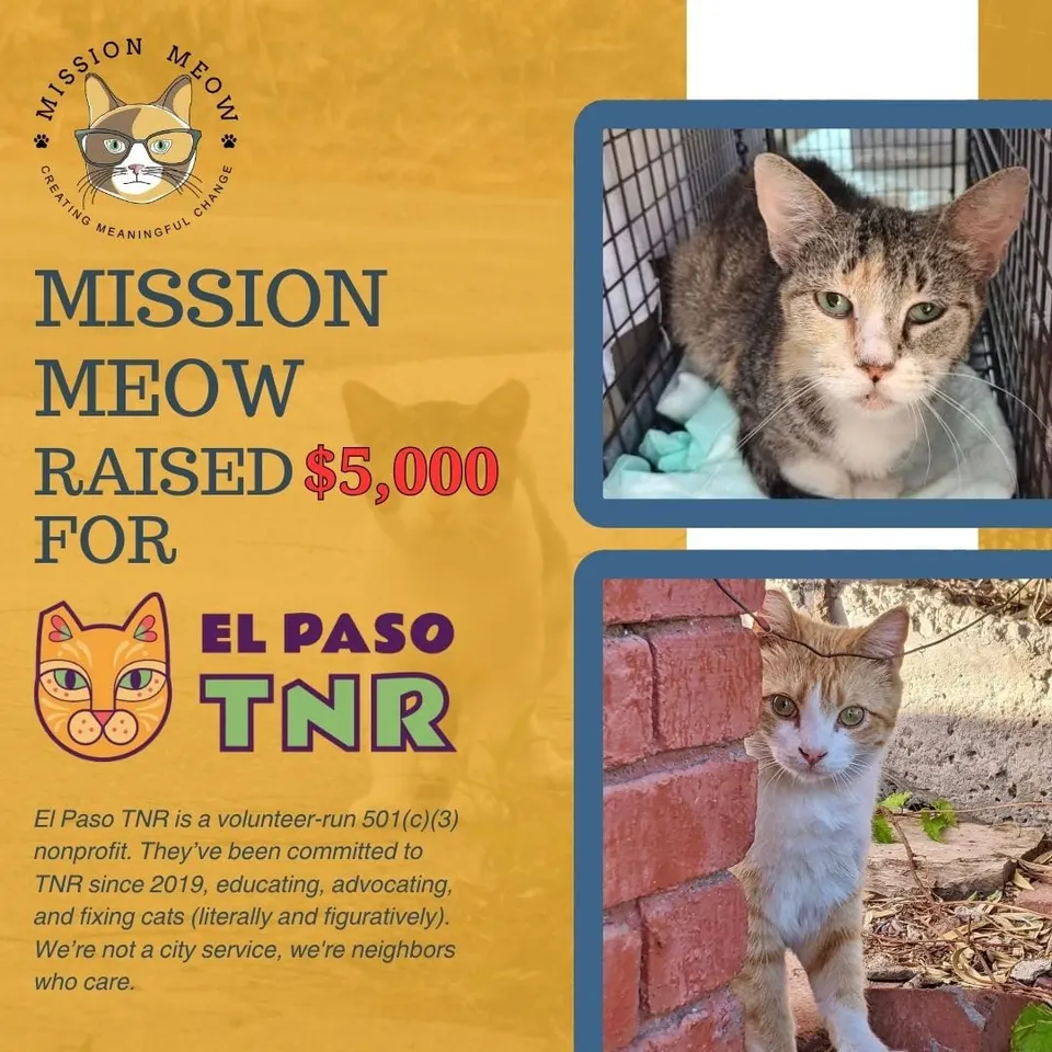 El Paso TNR's Mission Meow grant announcement