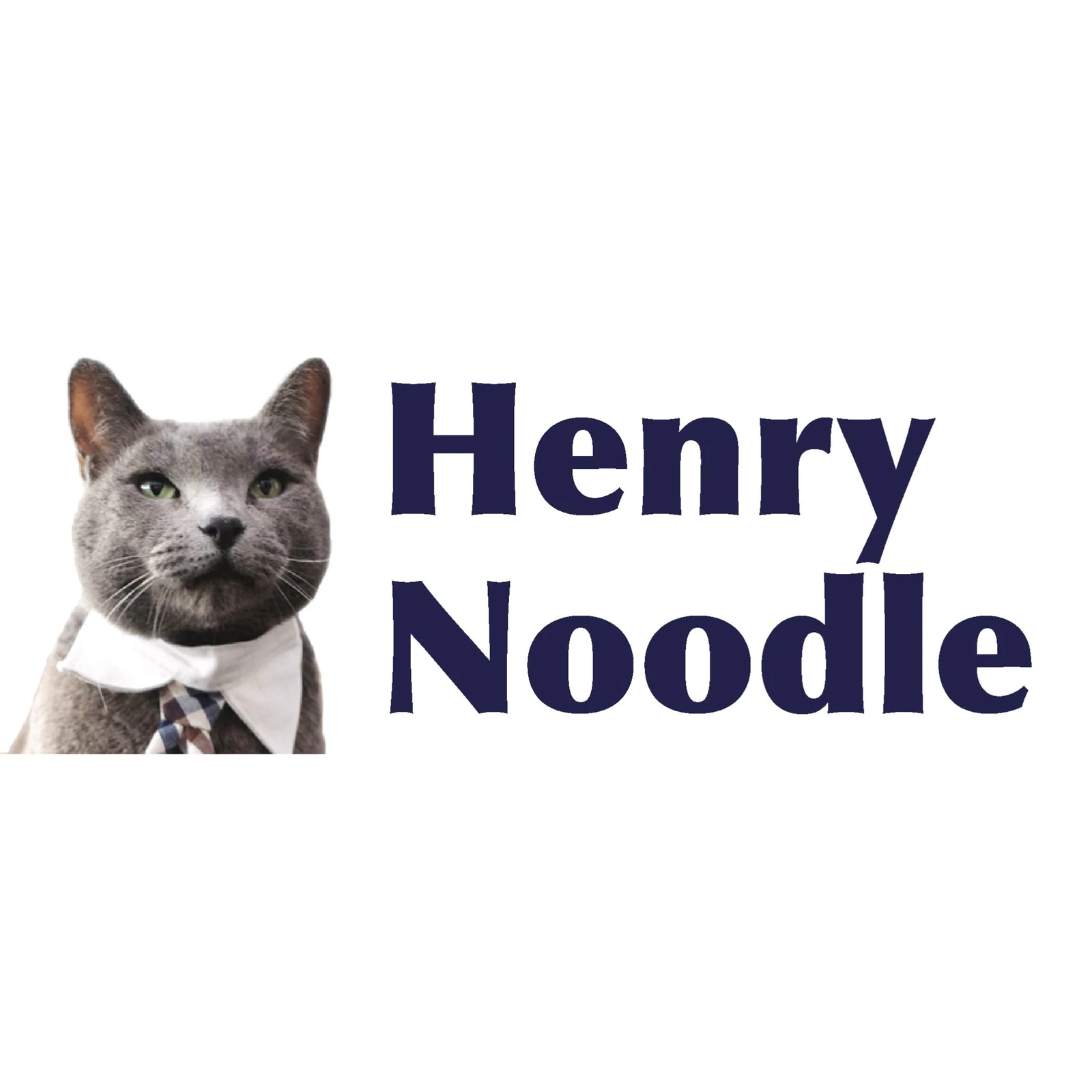 Henry Noodle