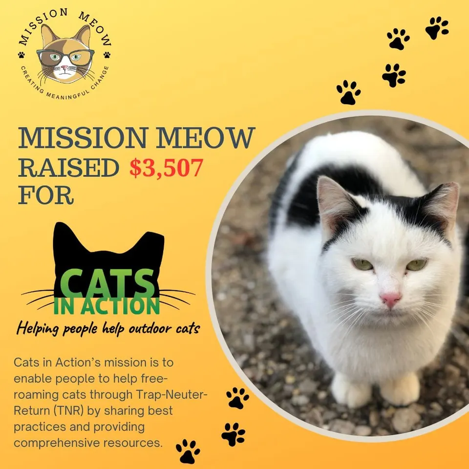 Cats in Action's Mission Meow grant announcement