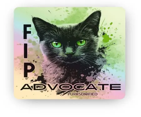 Photo from Mission Meow's post "Purrsonified"