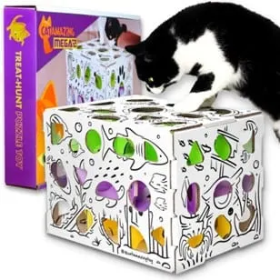 Photo from Mission Meow's post "Cat Amazing!"
