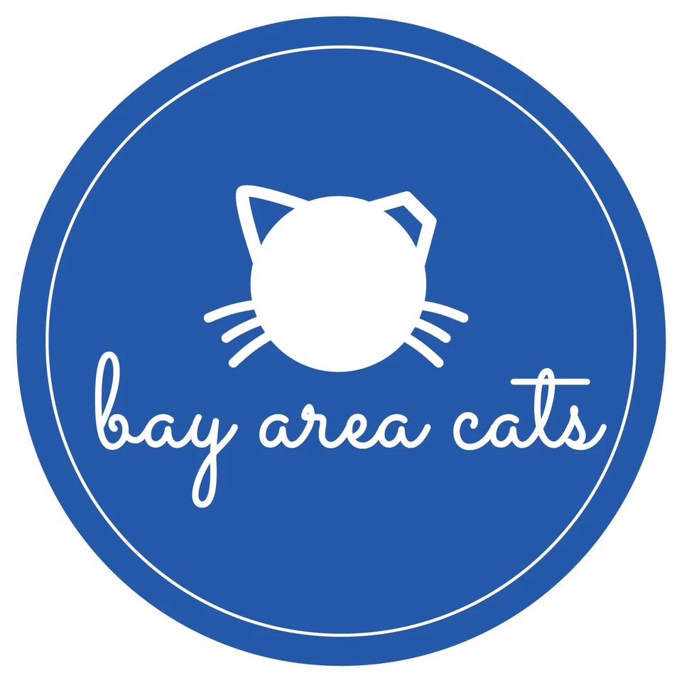 Bay Area Cats