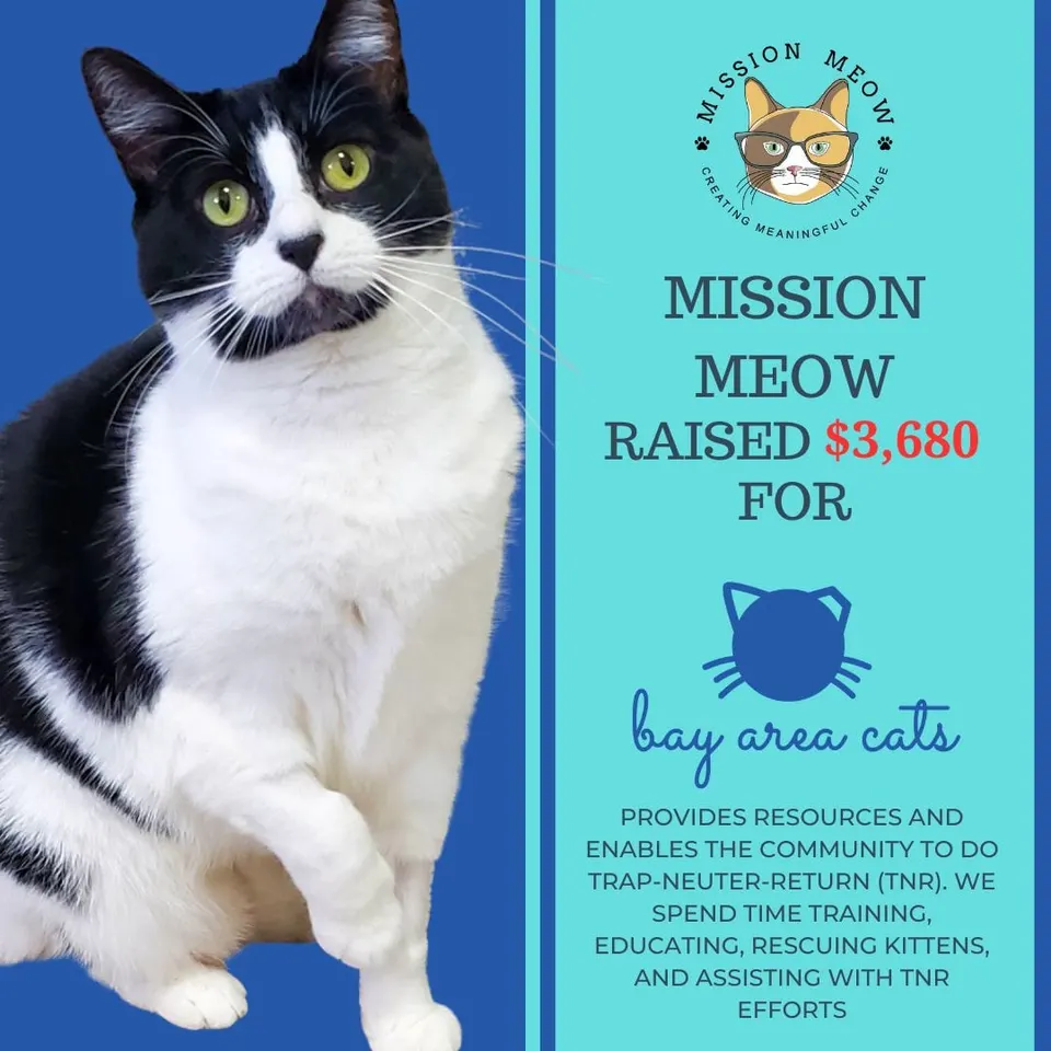 Bay Area Cats's Mission Meow grant announcement