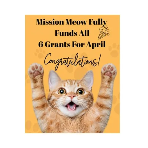 Photo from Mission Meow's post "Mission Meow Gives 6 Grants In April"