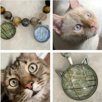 Photo from Mission Meow's post "Volana Kote – Whisker Jewelry"