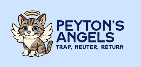 Peyton's Angels Worldwide