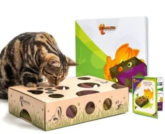 Photo from Mission Meow's post "Cat Amazing!"