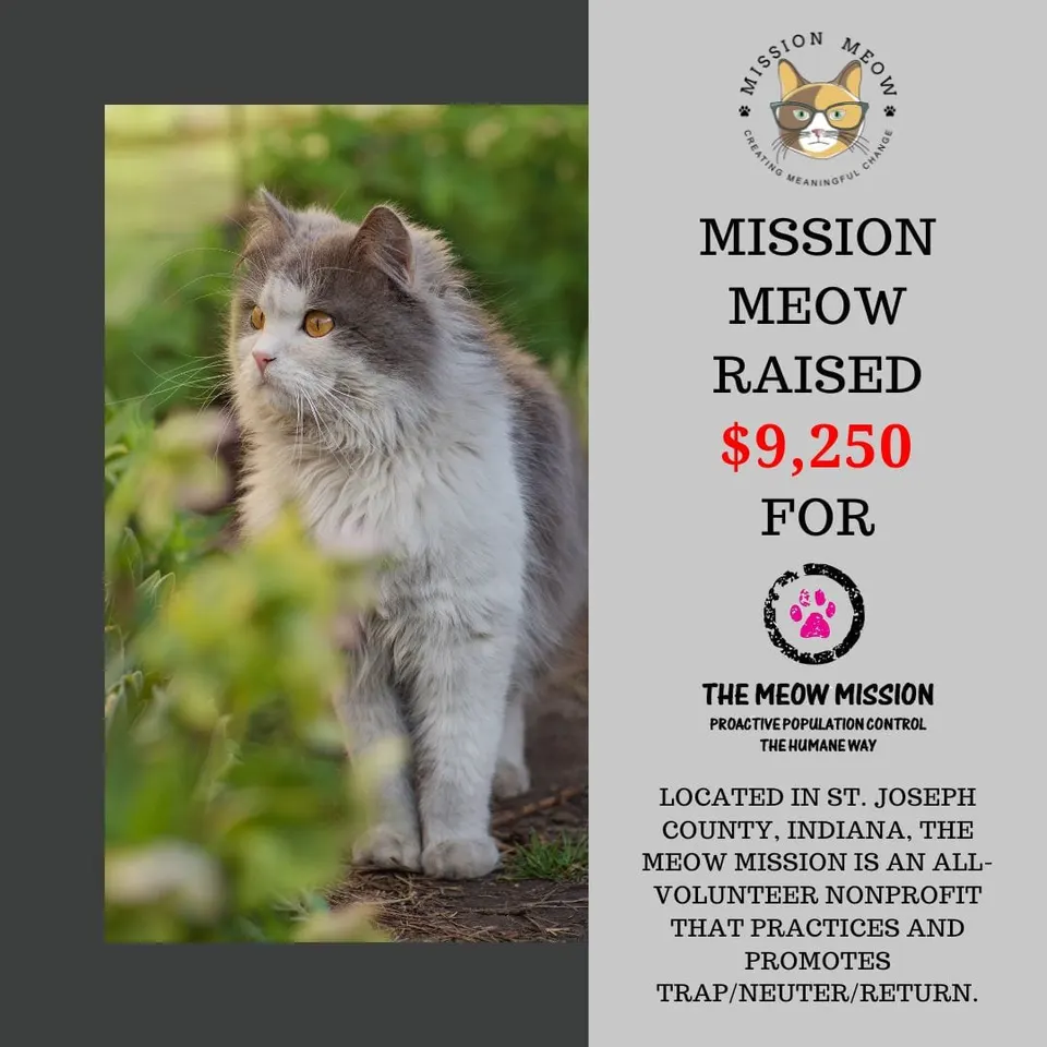 The Meow Mission's Mission Meow grant announcement