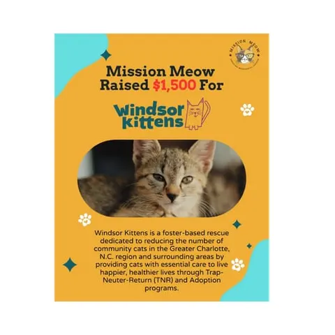 Photo from Mission Meow's post "Mission Meow Gives $30,000 In Grants In August"