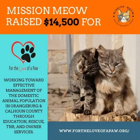 For the Love of a Paw's Mission Meow grant announcement