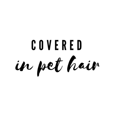 Covered in Pet Hair