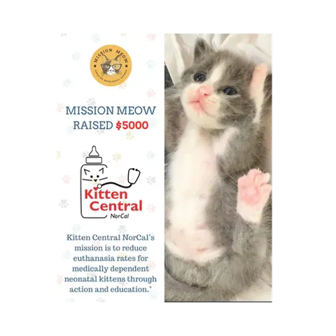 Kitten Central NorCal's Mission Meow grant announcement