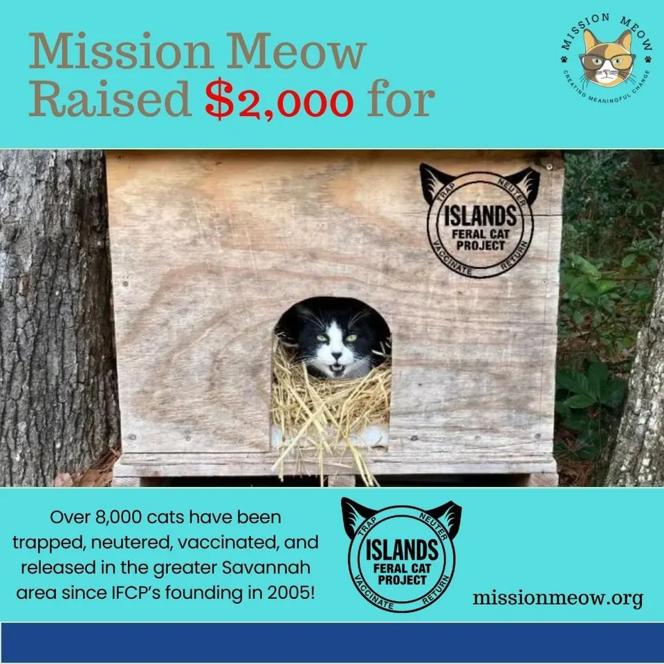 Islands Feral Cat Project's Mission Meow grant announcement