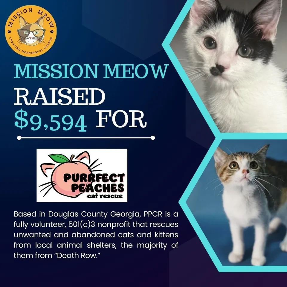 Purrfect Peaches Cat Rescue's Mission Meow grant announcement