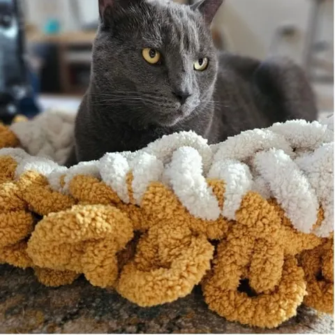 Photo from Mission Meow's post "Purrsonified"