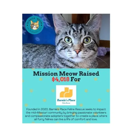 Photo from Mission Meow's post "Mission Meow Gives $30,000 In Grants In August"