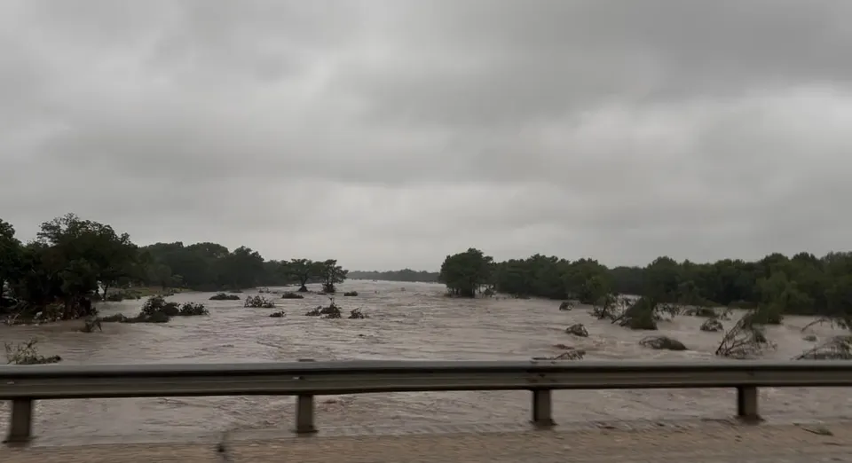 Photo from Mission Meow's post "From Texas Floodwaters to Second Chances"