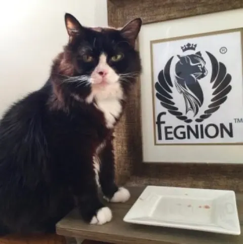 Photo from Mission Meow's post "Fegnion – The Ultimate in Raw Food"