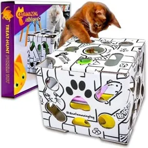 Photo from Mission Meow's post "Cat Amazing!"