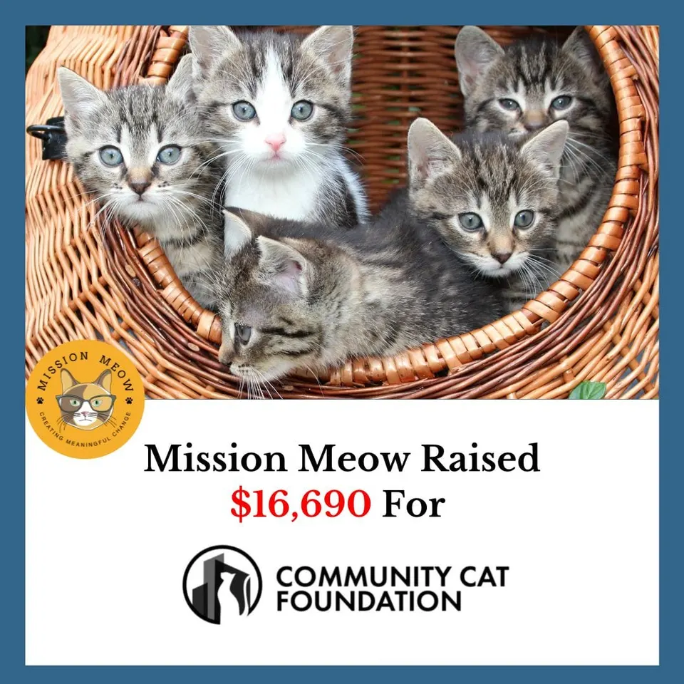 Community Cat Foundation's Mission Meow grant announcement