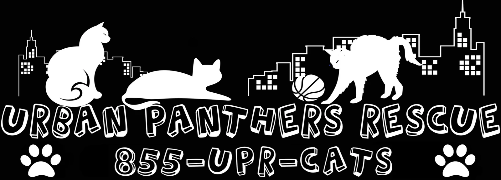 Urban Panthers Rescue