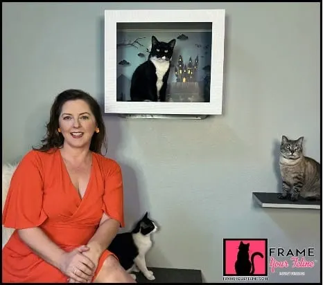 Photo from Mission Meow's post "Frame Your Feline"