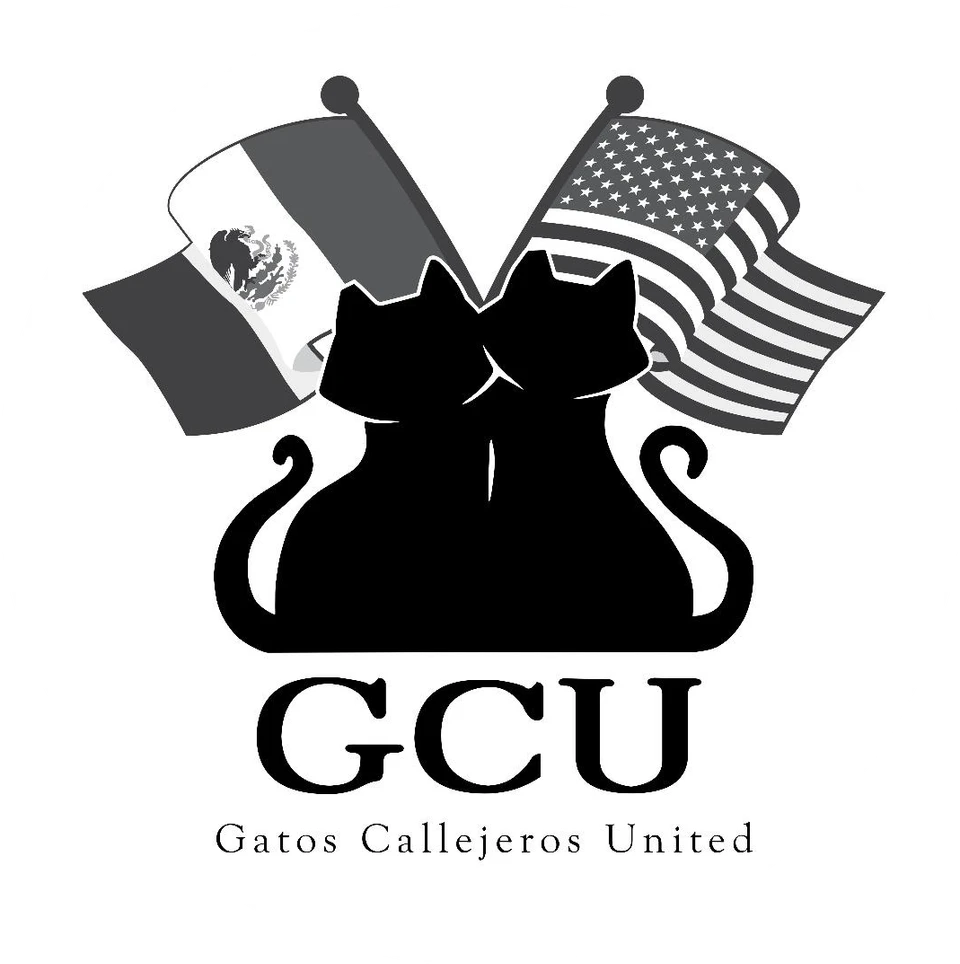 Gatos Callejeros United