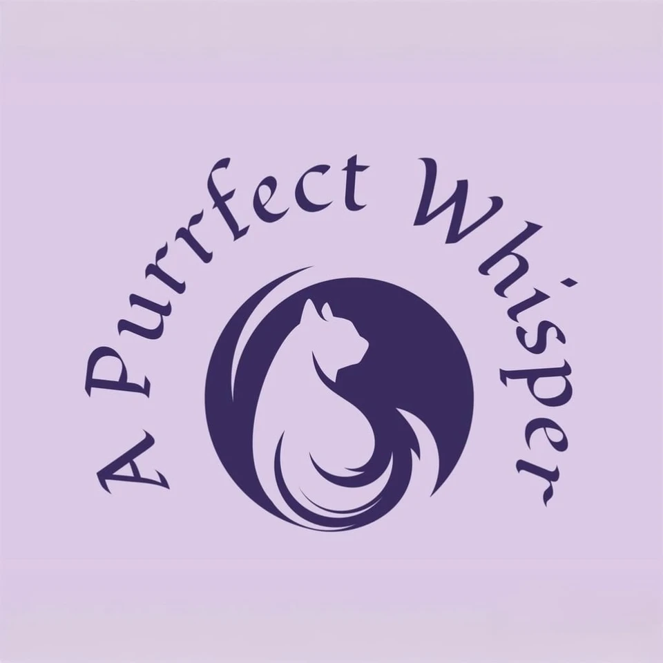 A Purrfect Whisper