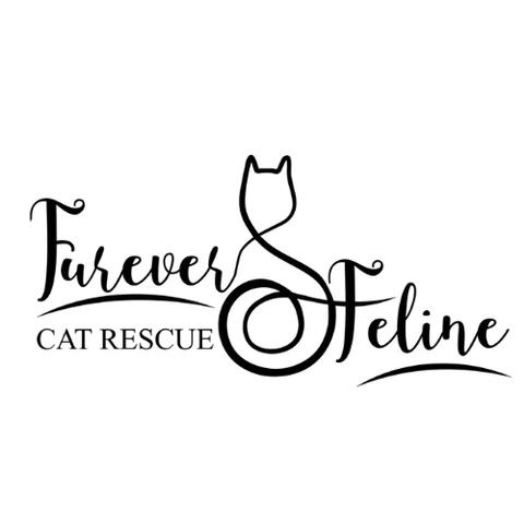 Furever Feline Cat Rescue