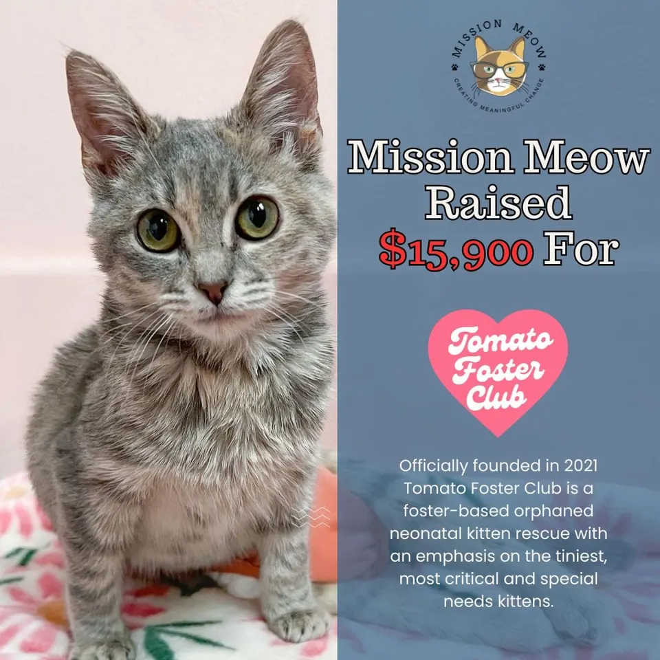 Photo from Mission Meow's post "April Grants Fully Funded"
