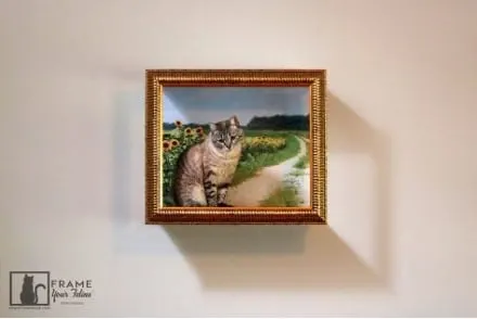 Photo from Mission Meow's post "Frame Your Feline"