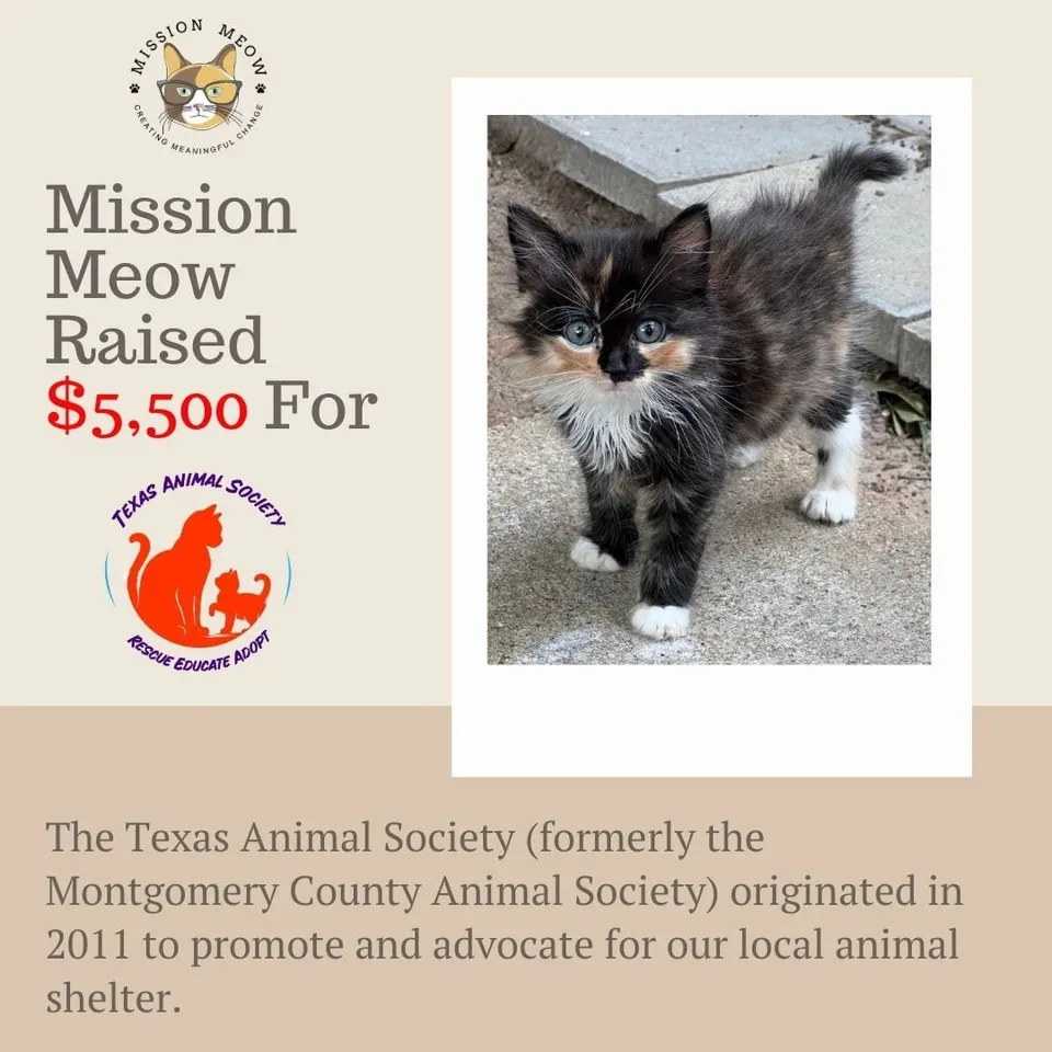 Texas Animal Society's Mission Meow grant announcement
