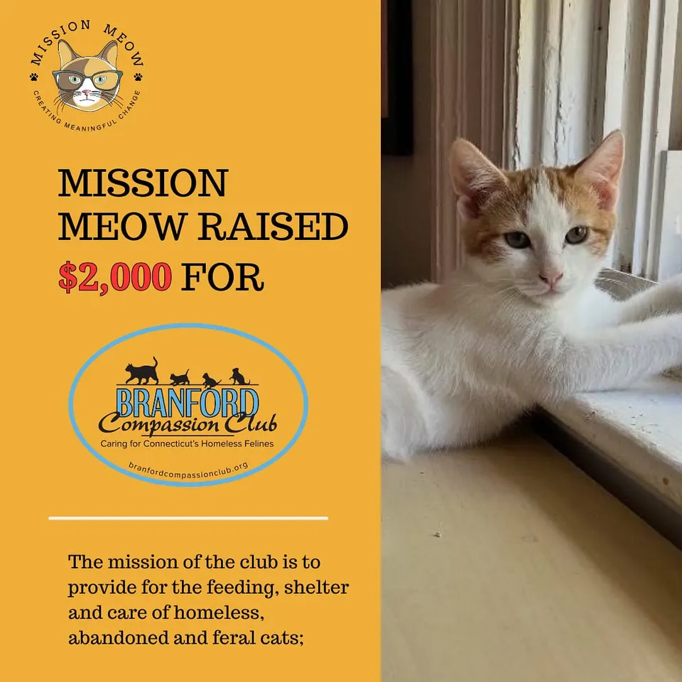 Branford Compassion Club's Mission Meow grant announcement