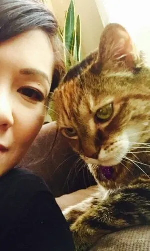 Photo from Mission Meow's post "Love and Above Cat Club"