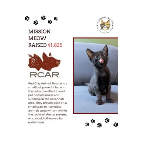 Photo from Mission Meow's post "Mission Meow Gives 6 Grants In April"
