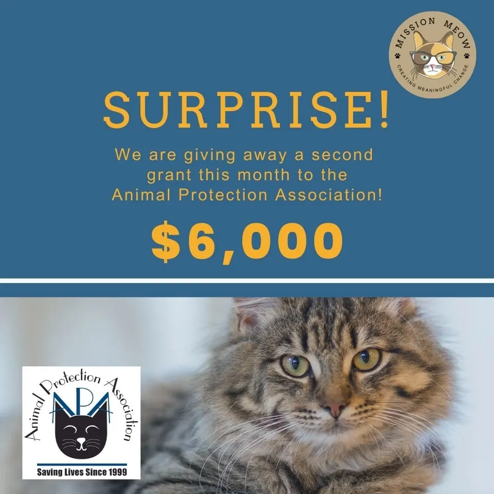 Animal Protection Association's Mission Meow grant announcement