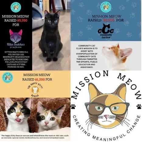 Photo from Mission Meow's post "Dreaming Big With Mission Meow"