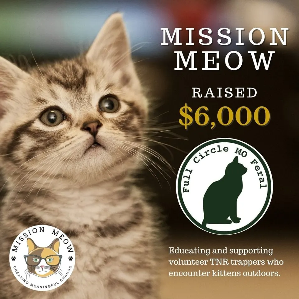 Full Circle MO Feral's Mission Meow grant announcement