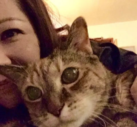 Photo from Mission Meow's post "Love and Above Cat Club"