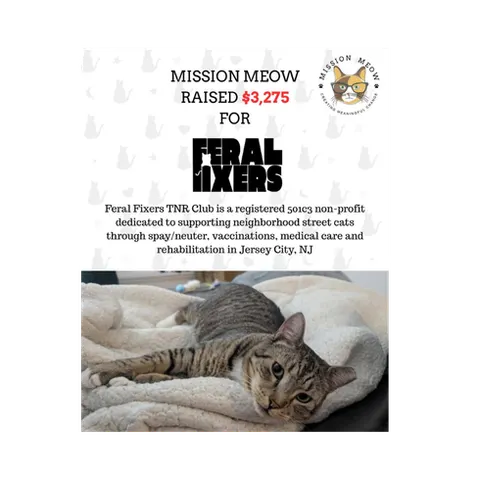 Feral Fixers TNR Club's Mission Meow grant announcement