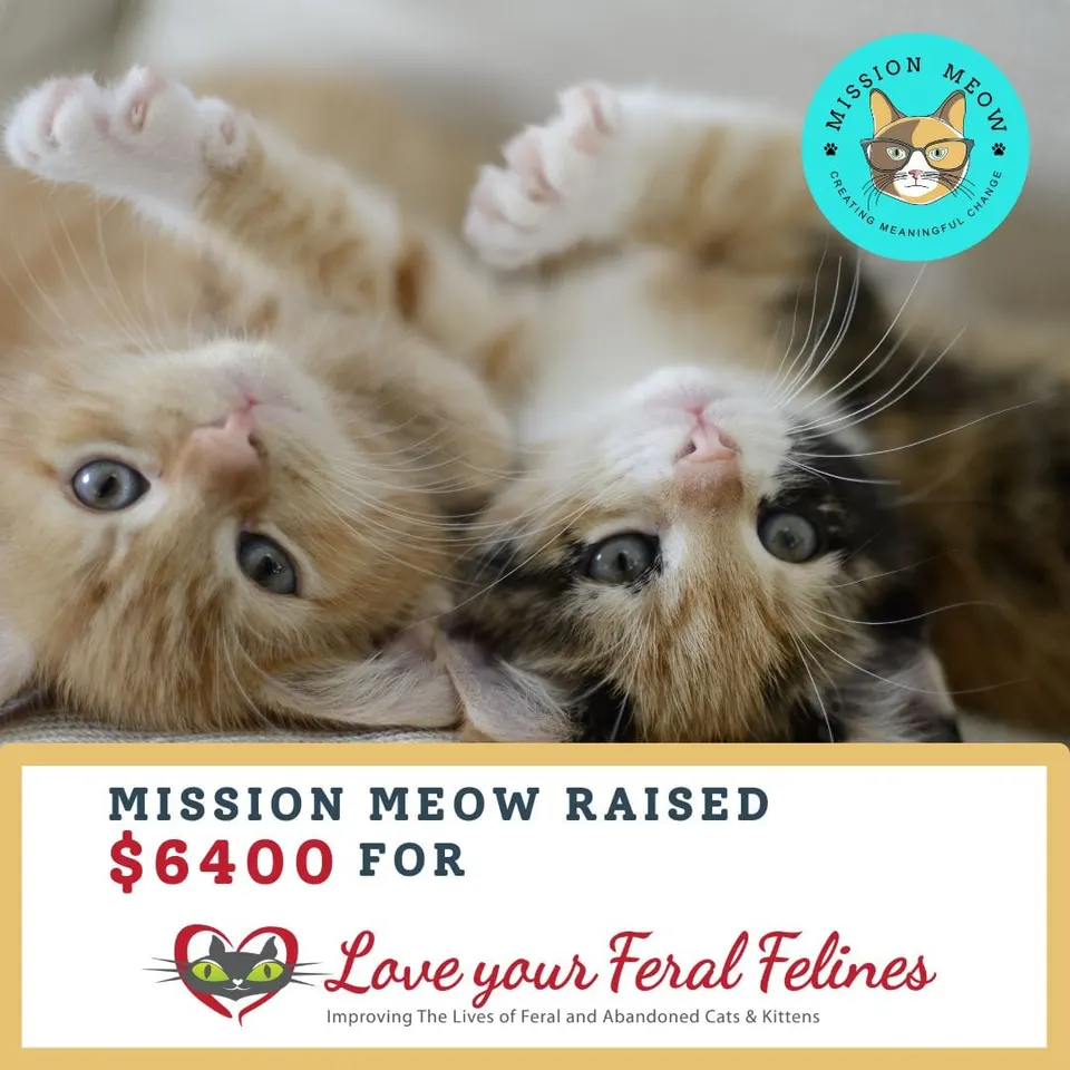Love Your Feral Felines's Mission Meow grant announcement