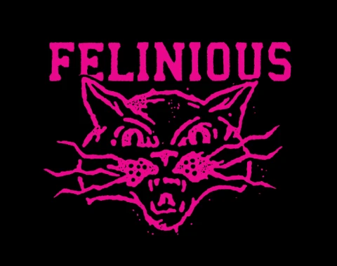 Felinious