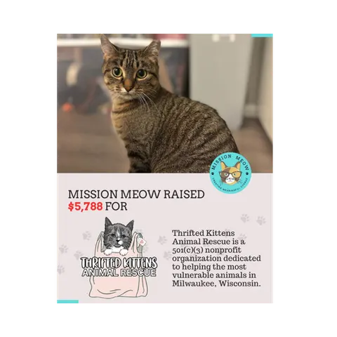 Thrifted Kittens Animal Rescue's Mission Meow grant announcement