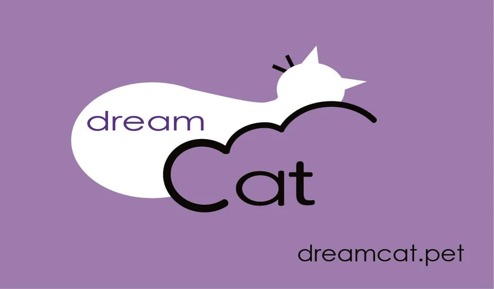dreamCat